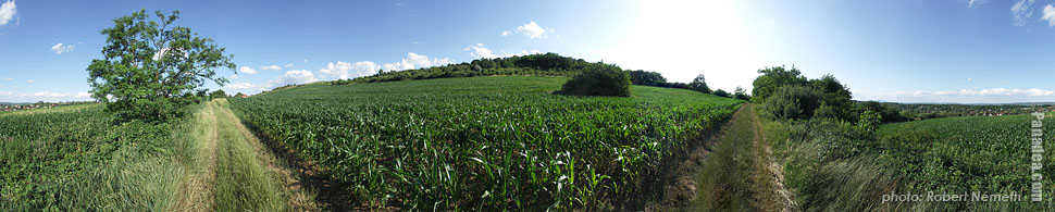 Somlyó Hill (Gyertyános) - Mogyoród, Madžarska - Panorama fotografija (panoramska slika)