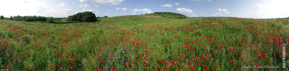 Somlyó Hill (Gyertyános) - Mogyoród, ハンガリー - パノラマ写真（全景写真, パノラマ画像）