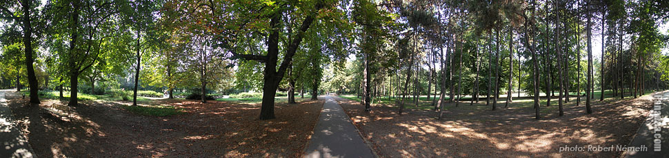 Margaret Island (Margit-sziget), Shady mall - Будимпешта, Мађарска - Панорама фотографија (панорамска слика)