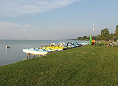 Grassy lakeshore on the free beach - Balatonlelle, Maďarsko