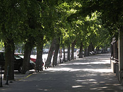 Shady walkway - Budapešť, Maďarsko