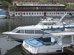 Hydrofoil and water bus boats at the Újpest harbour - Budapešť, Maďarsko