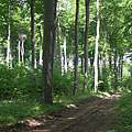 Pilis Mountains (Pilis hegység), Maďarsko