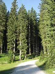  - Triglav National Park, Slovinsko