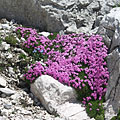 Triglav National Park, Slovinsko