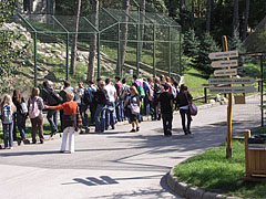 Visitors gathering at the enclosure of the brown bears - Veszprém, Maďarsko