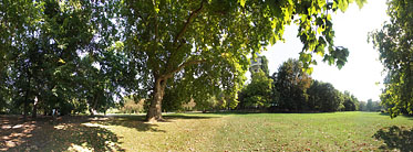 Margaret Island (Margit-sziget), Meadow near the water tower - Budapeşte, Macaristan