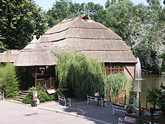 The Crocodile House with its tatched roof - Budapeşte, Macaristan