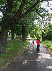 Walkway that leads to the basilica, along the way the stations of the way of the Cross can be seen - Gödöllő, Macaristan