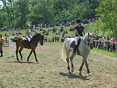 Equestrian jumping competition - Gödöllő, Macaristan