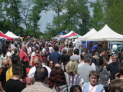 Bustle of the fair in the May Day picnic - Gödöllő, Macaristan