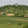 Mogyoród, Macaristan