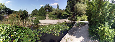 ××Margaret Island (Margit-sziget), Small lake on the north side of the island - Budapesta, Ungaria