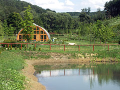 Miocene Forest with lake and greenhouse - Ipolytarnóc, Ungaria