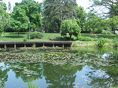 The beautiful small lake in the castle garden was originally part of the moat (the water ditch around the castle) - Szerencs, Ungaria