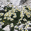 Triglav National Park, Slovenia