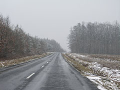 Spring snowfall on the main road - Velemér, Ungaria