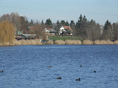  - Veresegyház, Ungaria