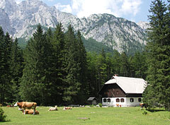  - Triglav National Park, Eslovénia