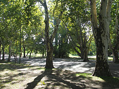 The typical atmosphere in the City Park - Budapest, Ungheria