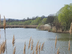 The Sinkár Lake is a water reservoir and a fishpond, it is located under the confluence of the Sinkáér Stream and the Mátyás-völgyi Stream - Csővár, Ungheria