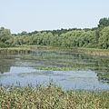 Kis-Balaton, Ungheria