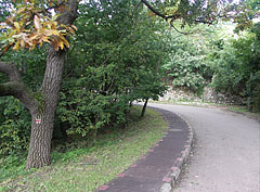 Asphalt road up to the János Hill - Budapest, Unkari