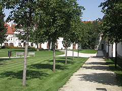 The park of the Gödöllő Palace with young horse chestnut alley - Gödöllő, Unkari