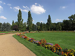 Flowers on the Grat Meadow (in Hungarian "Nagyrét") - Budimpešta, Madžarska