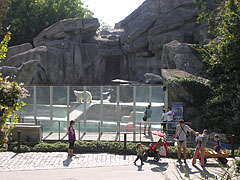 The so-called Polar Panorama landscape with two polar bears on the northern side of the Little Rock - Budimpešta, Madžarska