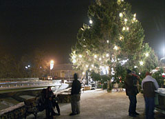 Christmas tree of Mogyoród in the main square - Mogyoród, Madžarska