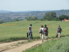 Tourists - Mogyoród, Madžarska