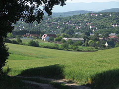 Hiking trail - Mogyoród, Madžarska