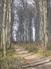  - Pilis Mountains (Pilis hegység), Madžarska