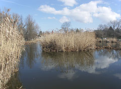  - Veresegyház, Madžarska