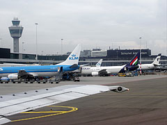 An airplane of the Malév (former Hungarian Airlines) at Schipol Airport - Amsterdam, Holandia