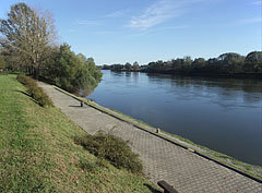 The bank of Dráva River at the train station and the boat station - Barcs, Węgry