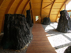 The covered shelter of the Bükkábrány mummified trees - Ipolytarnóc, Węgry