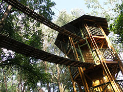 Canopy walk - Ipolytarnóc, Węgry