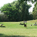 Kis-Balaton, Węgry