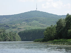  - Tokaj (Токай), Венгрия