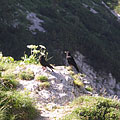 Triglav National Park, Slovenië