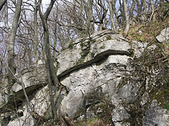 Layered limestone rocks on on the hillside of the valley - Bakony Mountains, Ungari