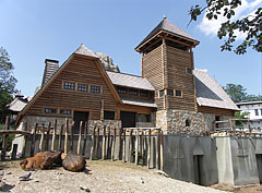 Buffalo House, some African forest buffalos (Syncerus caffer nanus) lying around it - Budapest, Ungari