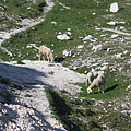 Triglav National Park, Sloveenia