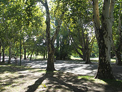 The typical atmosphere in the City Park - Βουδαπέστη, Ουγγαρία