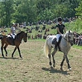 Equestrian jumping competition - Gödöllő, هنغاريا