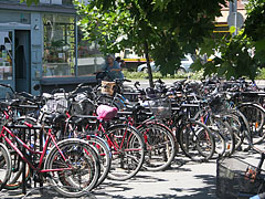 There are maybe more bicycles in a heap at the bus station than in the whole Netherlands - Nagykőrös, ハンガリー