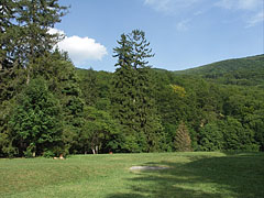 The meadow called the Gloriette Glade - Szilvásvárad, 헝가리