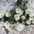 Triglav National Park, 슬로베니아